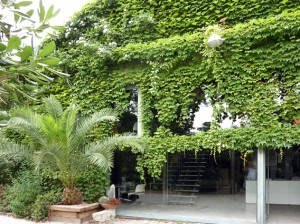 pa15