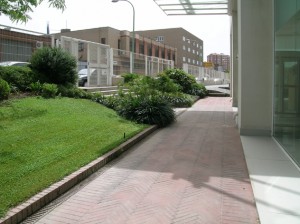 LG19